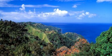 Colorado Man Christopher Brown Fatally Stabbed in Tobago; Suspect Detained