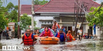 Flooding in South East Asia Claims 600 Lives Amid Widespread Destruction