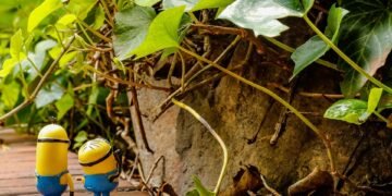 Kevin Spacey’s Civil Trials for Sexual Assault Scheduled for Next Year