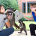 Mother Defends Daughter from Raccoon Attack in Ashford Incident