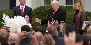 Trump Grants Thanksgiving Pardon to Turkeys at Traditional Ceremony