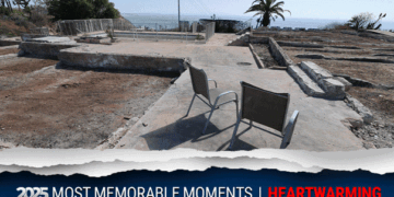 2025's Most Heartwarming Moments Captured: A Year in Review - 30 December