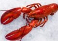 $400,000 Worth of Lobster Stolen on Route to Costco Wholesale Stores in US