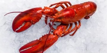 $400,000 Worth of Lobster Stolen on Route to Costco Wholesale Stores in US