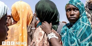 Air Force Bombings in Towns and Schools Reportedly Result in Hundreds of Deaths