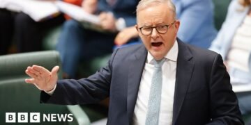 Albanese Proposes Hate Speech Measures Following Bondi Shooting Incident