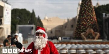 Bethlehem's Christmas Tree Illuminated Amid Ongoing Gaza Conflict