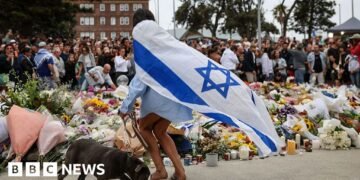 Bondi's Hanukkah Festival: Celebration Interrupted by Sudden Tragedy