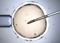 Concerns Rise Over UK Women Receiving Sperm from Donor with Cancer Gene