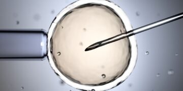 Concerns Rise Over UK Women Receiving Sperm from Donor with Cancer Gene