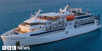 Cruise Ship Strikes Reef on Inaugural Journey After Passengers Left Ashore