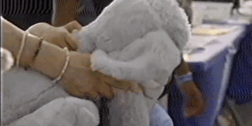 DHS Introduces $1,000 Incentive for Illegal Immigrants to Self-Deport via App