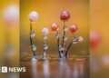 Discovering the Hidden World of Slime Mould: A Photographic Exploration
