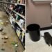 Drunk Raccoon Causes Havoc at Liquor Store, Linked to Other Break-Ins