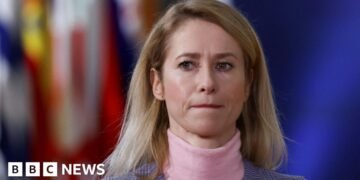 EU Diplomat Dismisses Russian Claims of Ukrainian Assault on Government Targets