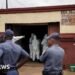 Eleven Arrested Following Mass Shooting at South African Tavern