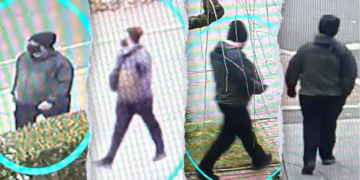 Expert Analysis of Brown Shooter's Gait and Behaviour from Surveillance Footage