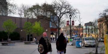 Exploring Minnesota's Role as a Key Destination for Somali Immigrants