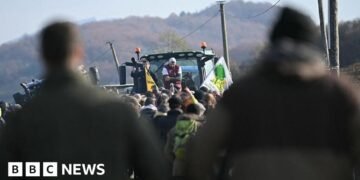 Farmers Urge French Authorities to Lift Blockades Amid Cow Disease Cull