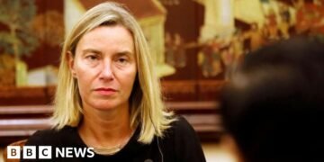 Former EU Diplomat Faces Allegations in Fraud Investigation