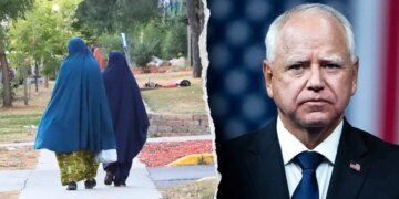 Fraud Schemes in Minnesota Linked to Hundreds of Millions in Taxpayer Losses