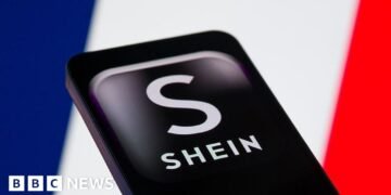 French Court Declines to Ban Shein Website Over Childlike Dolls Controversy