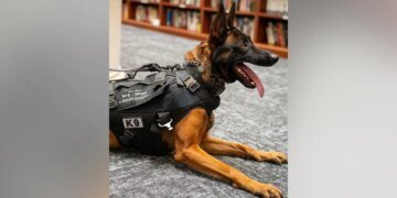Illegal Immigrant Gang Member Charged in Death of California Police K-9