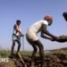 Is India's Rural Jobs Guarantee Scheme at Risk Due to G RAM G Challenges?