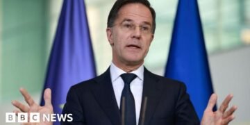 Mark Rutte: Trump's Return Could Strengthen NATO, Says BBC Interview