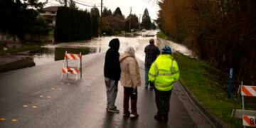 NPR's The Picture Show: Exploring the Power of Visual Storytelling