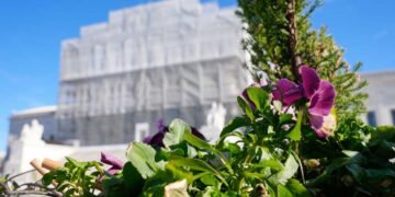 Supreme Court Hears Arguments from Abortion Opponents Amid Ongoing Debate