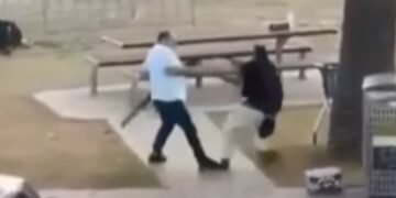 Sydney Fruit Shop Owner Disarms Gunman at Bondi Beach Incident