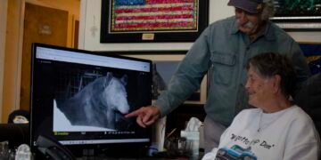 Texas Towns Tackle Growing Black Bear Populations with Diverse Strategies