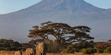 Tragedy on Mount Kilimanjaro: Five Dead in Helicopter Crash
