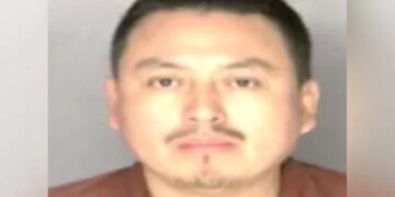 Tricia McLaughlin Reveals ICE's Christmas Arrests of Criminal Immigrants