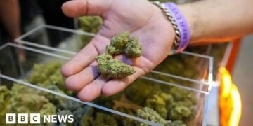 Trump to Propose Major Changes to Marijuana Access in Drug Policy Reform