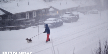 Two Fatalities Reported in Sweden Amid Severe Storm Impacting Nordic Region