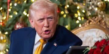 US Judge Prevents Detention of British Free Speech Advocate Amid Censorship Dispute