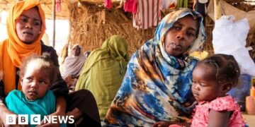 Yale Researchers Claim RSF Attempted to Conceal Mass Killings in el-Fasher