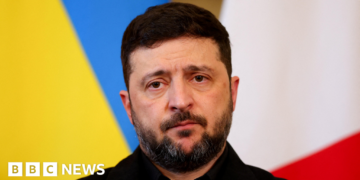 Zelensky: US Proposes 'Special Economic Zone' in Donetsk Region of Ukraine