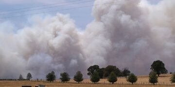Australia Declares State of Disaster Amid Severe Bushfires and Heatwave