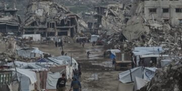 Board of Peace: A Viable Path to Stability for Gazans in Crisis