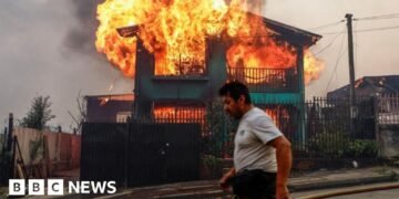 Chile Declares State of Catastrophe as Wildfires Claim 18 Lives