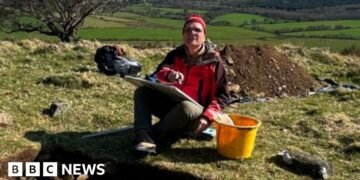 County Wicklow Discovery May Challenge Viking Towns Theory in Ireland