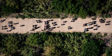 Drug Overdose Deaths Fall 20% in 2025 Amid Enhanced Border Controls