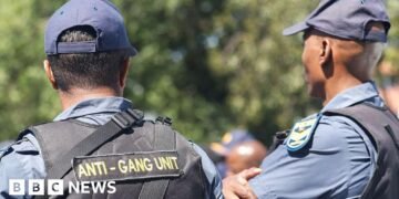 Firoz Cachalia Critiques Police Effectiveness Against Gangster Activity