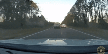 Florida Traffic Stop Leads to Arrest of Sex Offender and Recovery of Missing Child