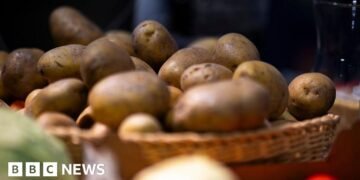 German Farm Distributes Millions of Potatoes Following Record Harvest