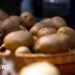 German Farm Distributes Millions of Potatoes Following Record Harvest