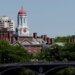 Harvard Dean Gregory Davis Dismissed Over Controversial Social Media Posts